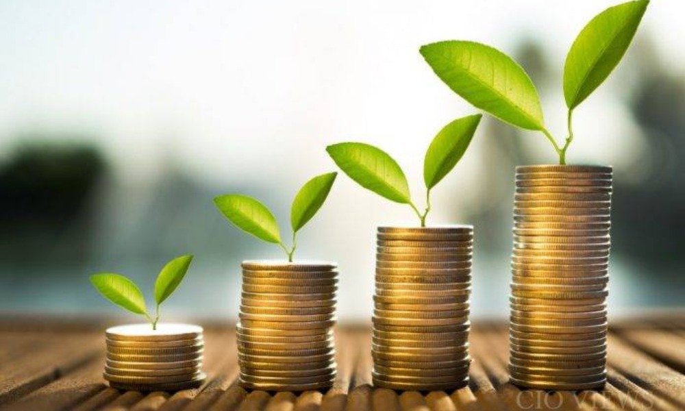 Banking & Finance