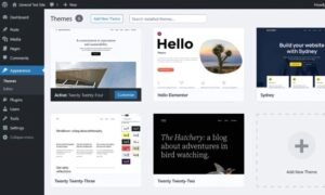 What is the WordPress Dashboard