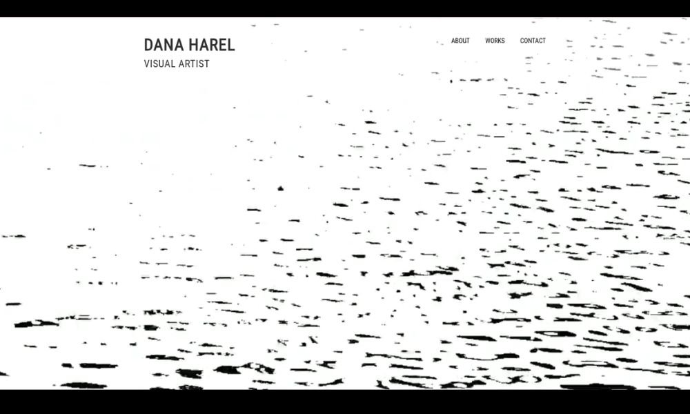 Dana Harel