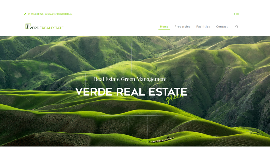 Verde Real State