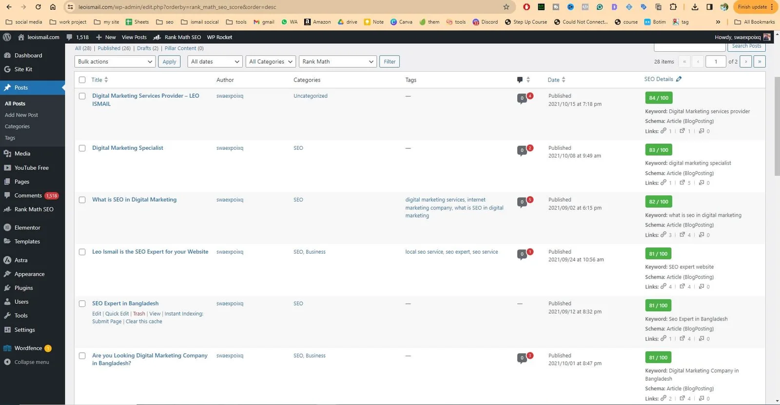 Leo-Ismail-On-Page-SEO-Portfolio